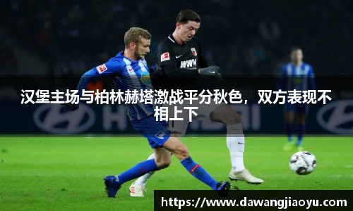 天博·体育登录入口网页版