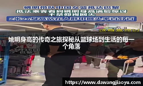 天博体育官网入口