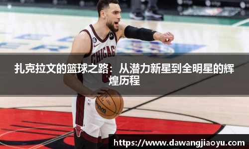 天博·体育登录入口网页版