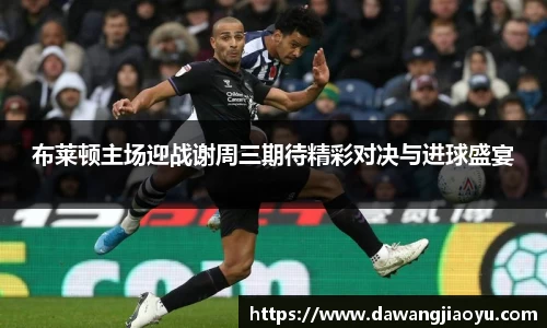 天博·体育登录入口网页版