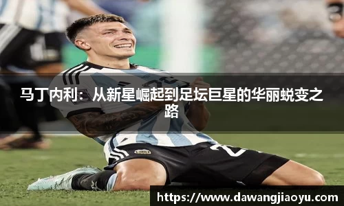 天博·体育登录入口网页版