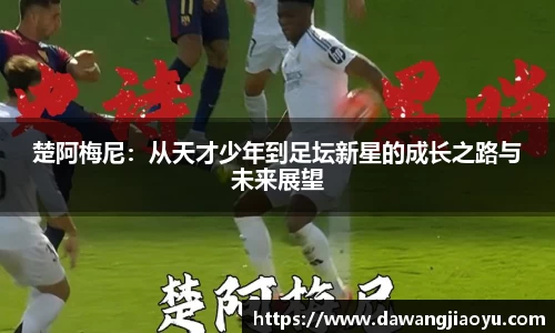 天博体育官方平台入口